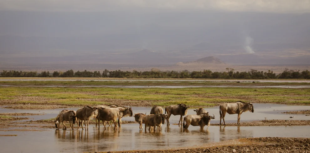 mariola-grobelska-ccJlEFRedTg-unsplash