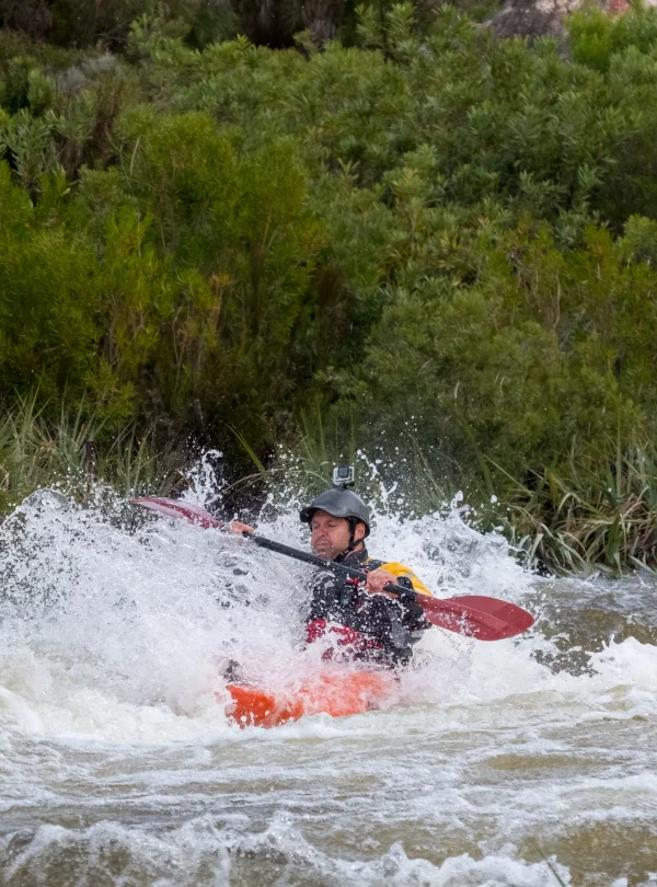 shutterstock_1117793012